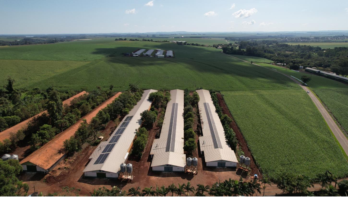 Inscrições para reformas de aviários, chiqueirões e biodigestores encerram nesta sexta (5), em Itaipulândia