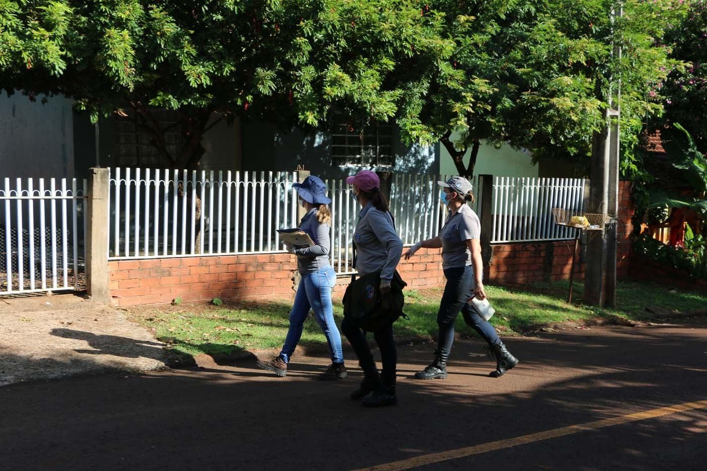 Veja como está a situação da dengue e também a infestação por domicílio em Santa Helena
