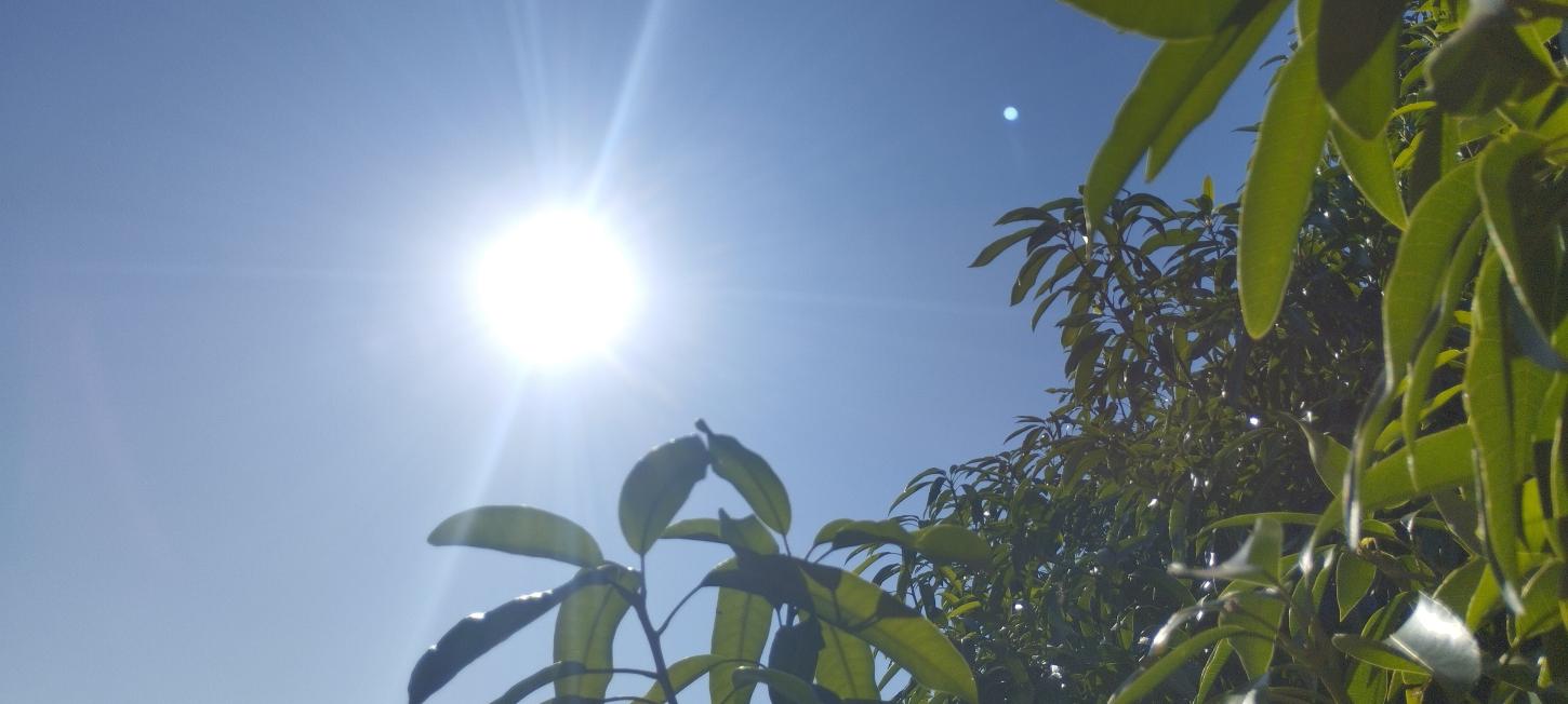 Temperaturas despencam na região