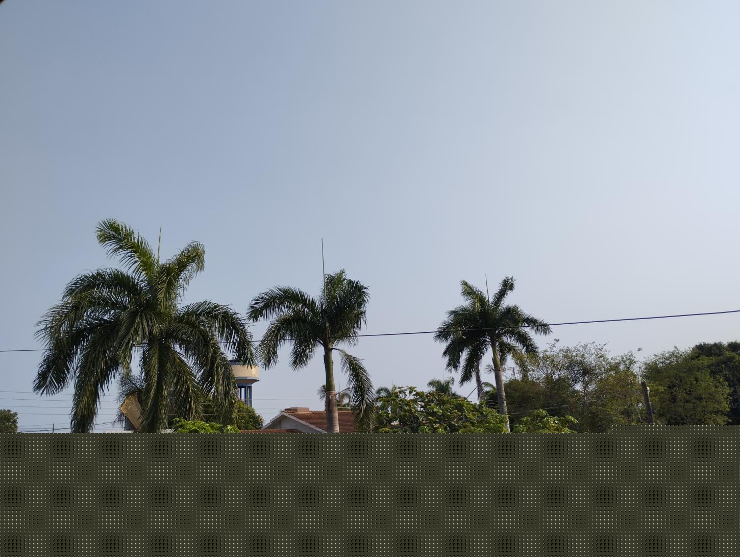 Quarta-feira (18), de sol e temperaturas agradáveis em Santa Helena e região