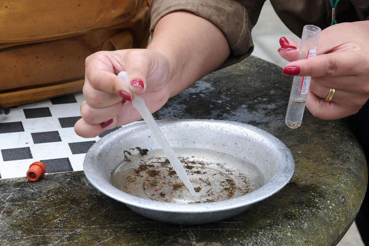 Marechal Rondon registra aumento de casos notificados de dengue