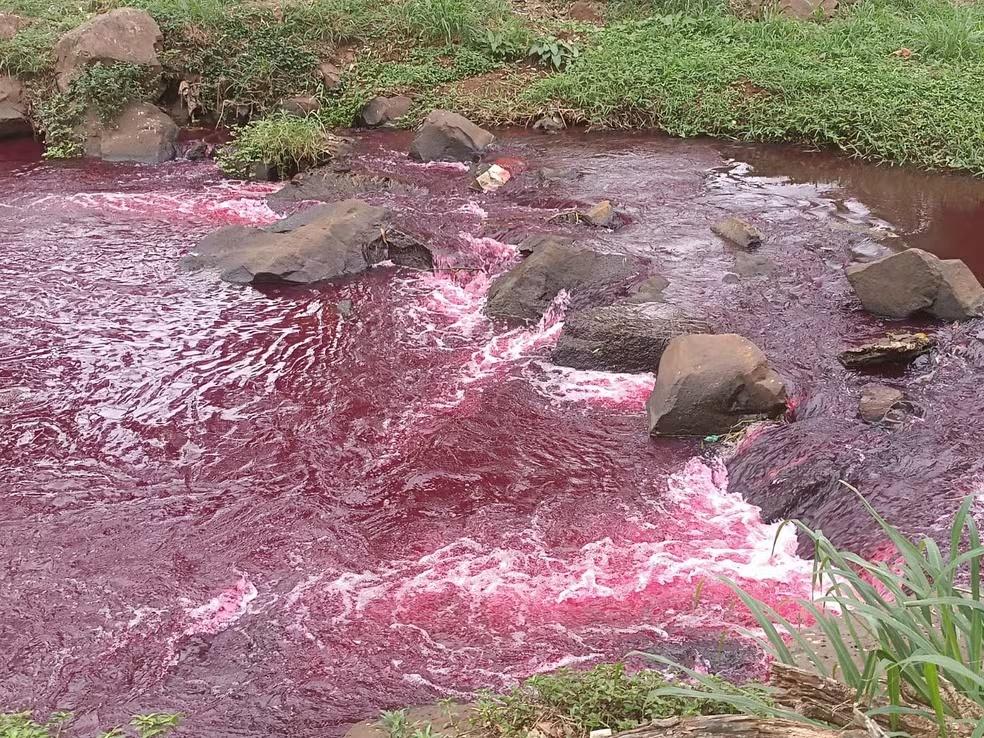 'Rio de sangue' mobiliza autoridades em cidade da região