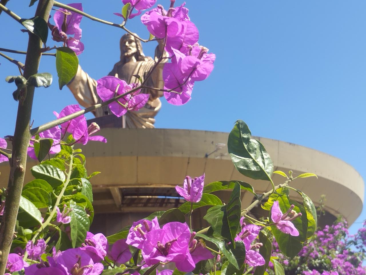Terça será de sol em Santa Helena e região