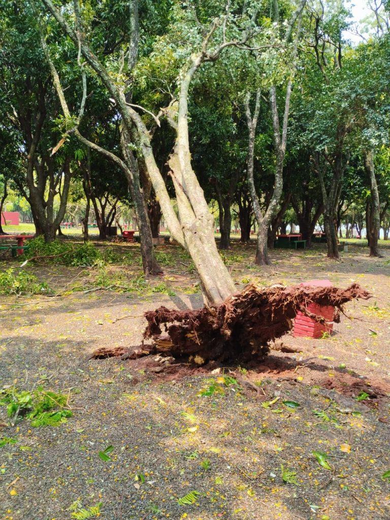 Vendaval registrado em distritos de Marechal Rondon deixa estragos e residências sem energia