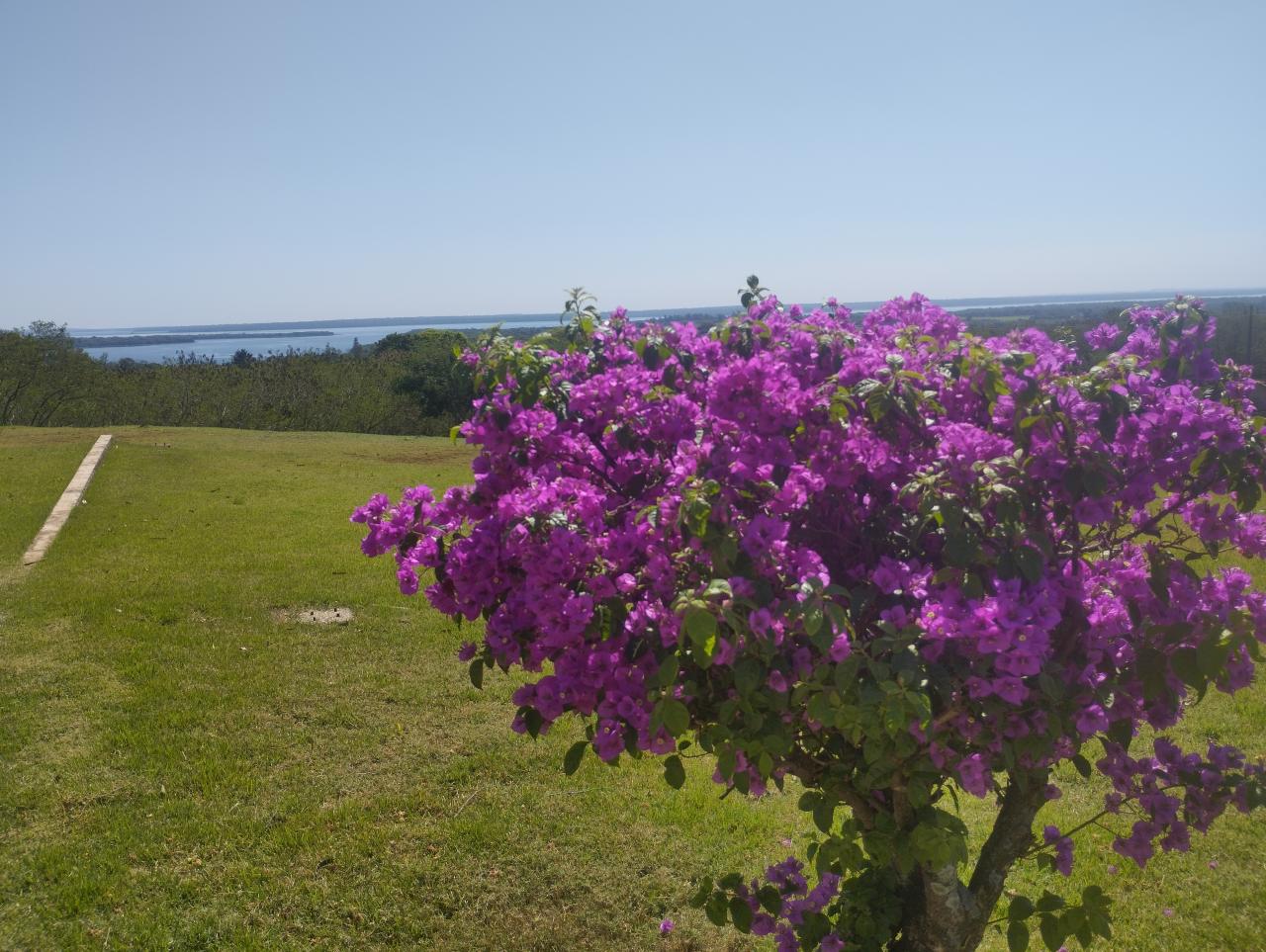 Frente fria se afasta e temperaturas voltam a subir na região