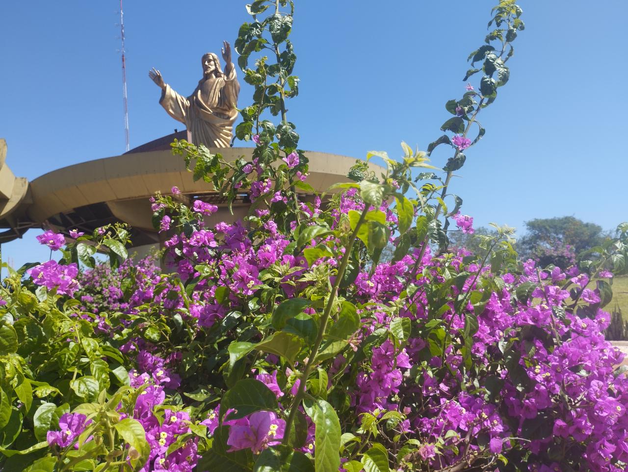 Semana começa com sol forte em Santa Helena e região