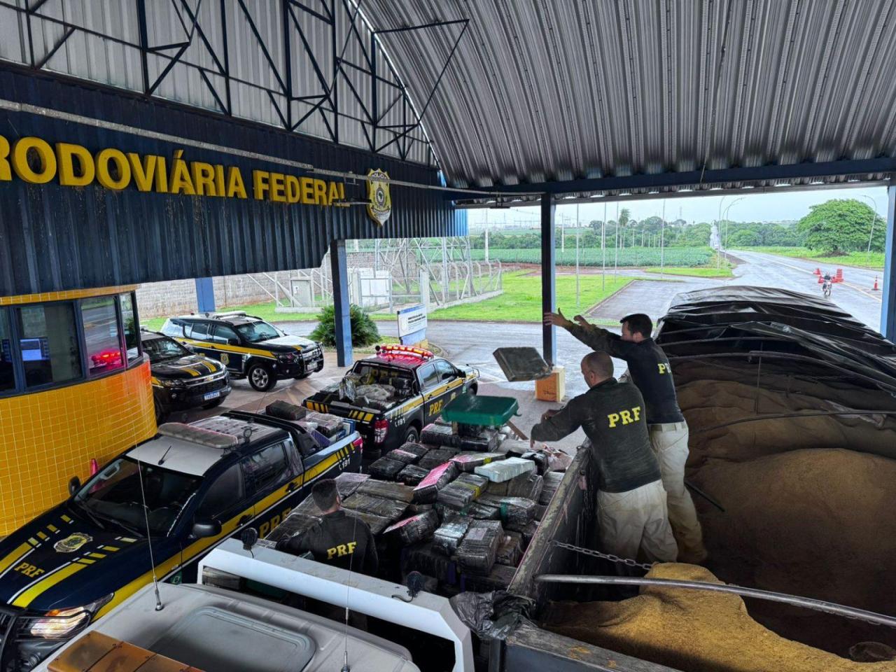 Polícia atualiza apreensão de maconha que chega a 8 toneladas e descobre dois fuzis