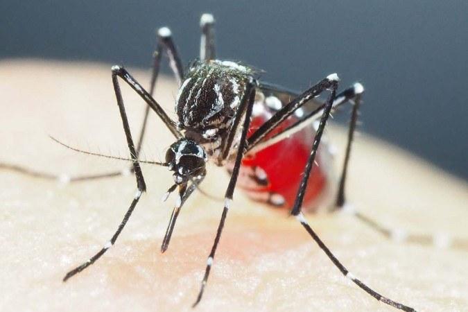 Foz do Iguaçu é uma das cidades escolhidas para receber apoio Federal no combate à dengue
