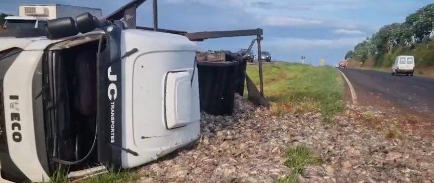Motorista tenta desviar cachorro, tomba carreta e espalha carga de tilápia sobre a pista da 163
