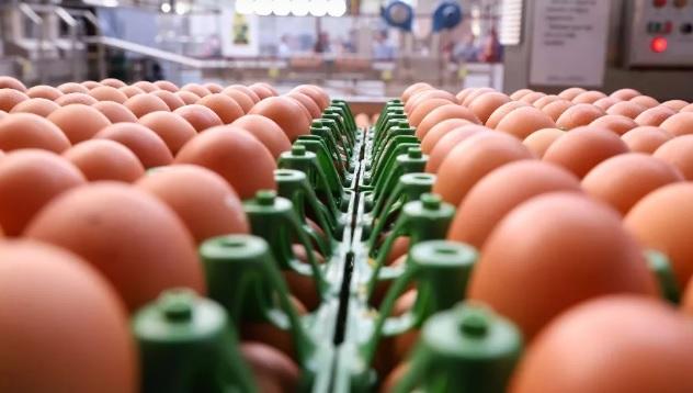 Preço dos ovos dispara até 40% e preocupa supermercadistas