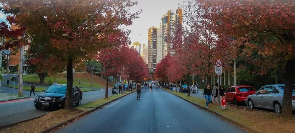 Outono terá temperaturas mais amenas do que 2024 e chuva abaixo da média no Paraná