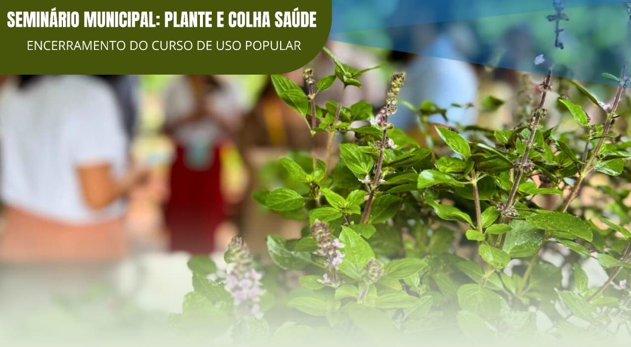 Seminário Plante e Colha Saúde celebra encerramento de curso sobre Plantas Medicinais em Pato Bragado