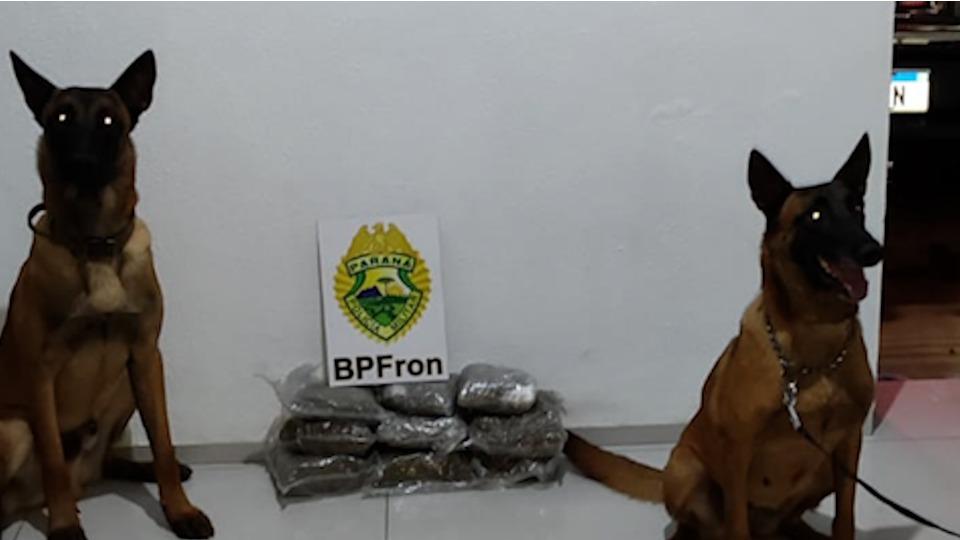 Mulher é presa e quase 5kg de capulho