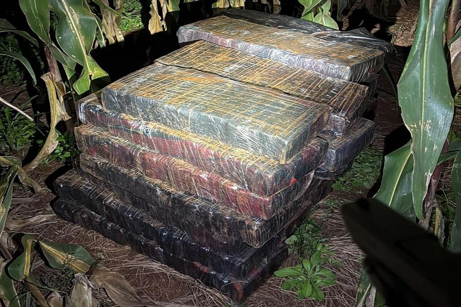 Operação apreende meio milhão de reais em maconha na região