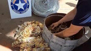 Polícia Civil faz operação contra tráfico de animais em quatro estados