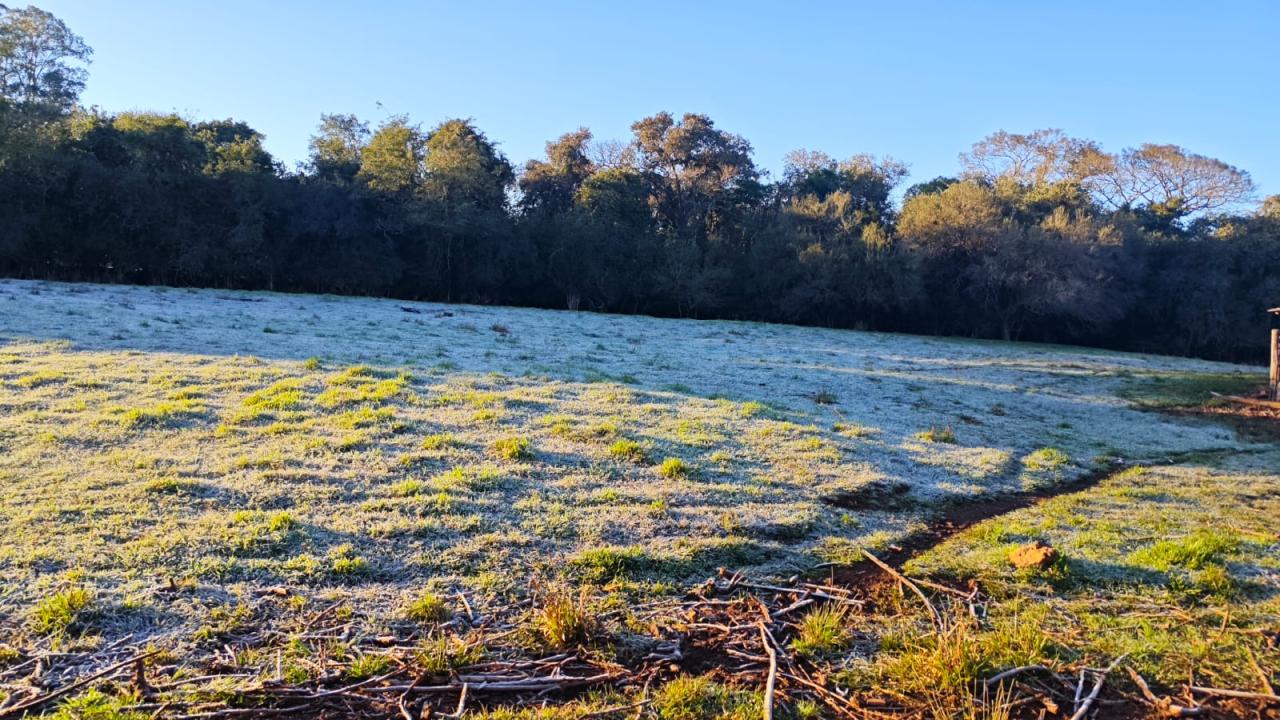 Quarta-feira (25), amanhece com geada e sensação térmica abaixo de zero em Santa Helena e região