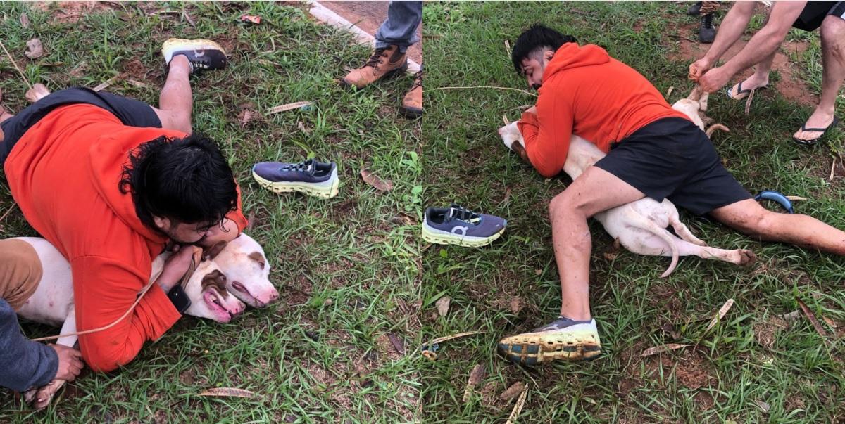 Vídeo: lutador de muay thai imobiliza dois pitbulls após ser atacado