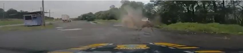 Vídeo mostra prisão de jovem que transportava droga de Santa Helena para Curitiba