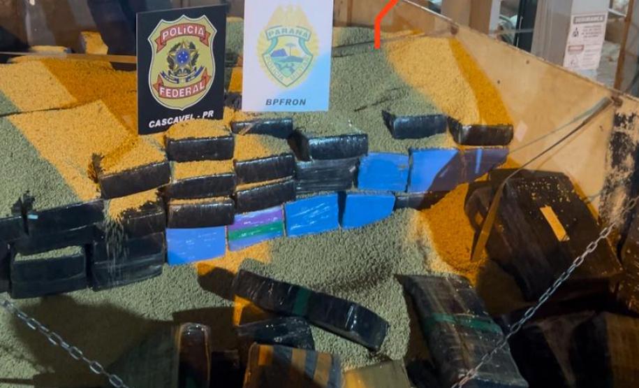 Duas toneladas de maconha apreendidas em fábrica de móveis