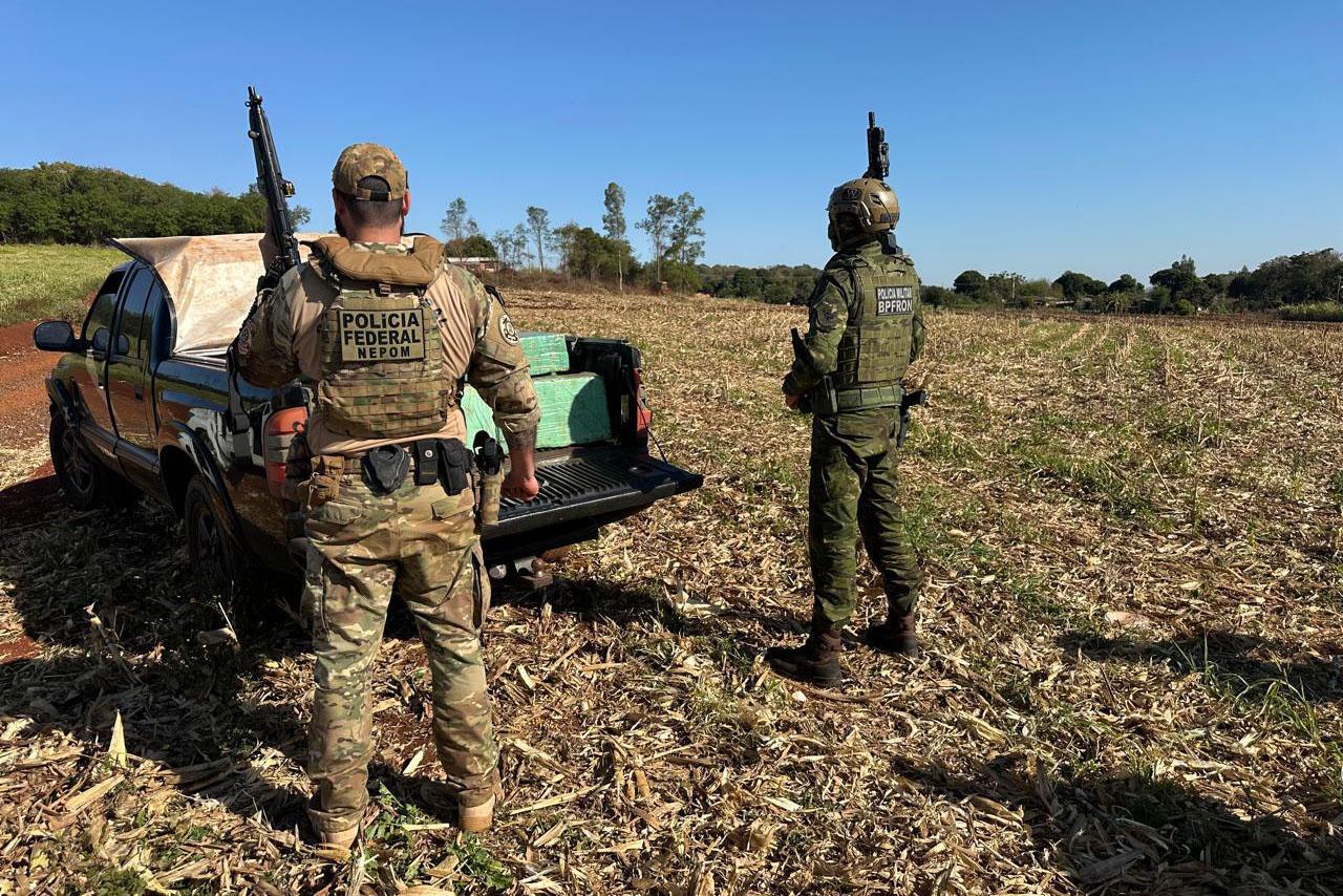 Operação Sinergia II já apreendeu mais de maconha em Santa Helena e região