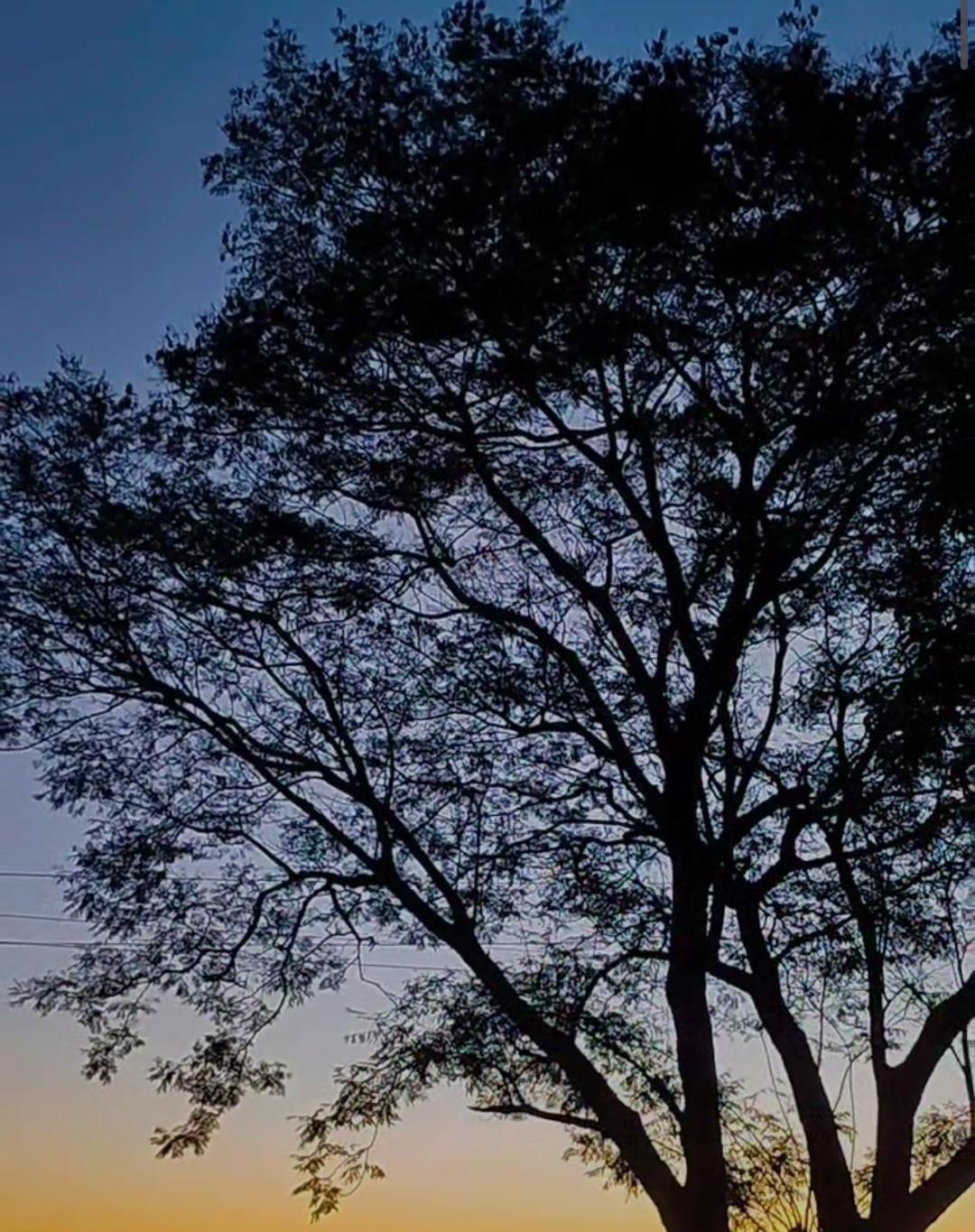 Semana inicia com sol e temperaturas elevadas em Santa Helena