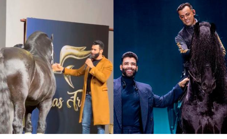 Gusttavo Lima vende 50% de cavalo por R$ 5 milhões em leilão de luxo
