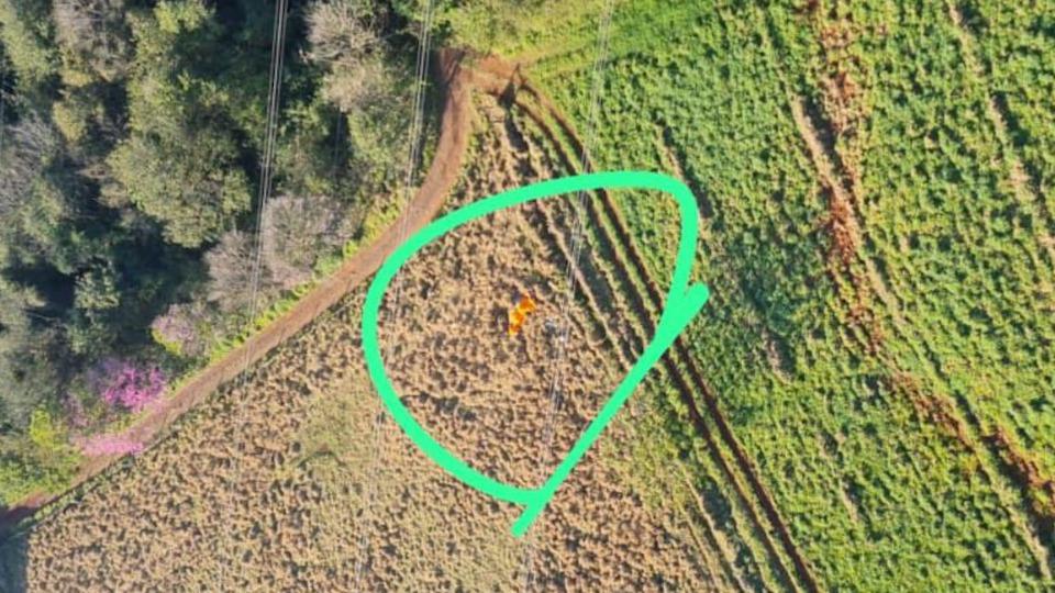 Policial civil morre durante voo de paramotor em Missal