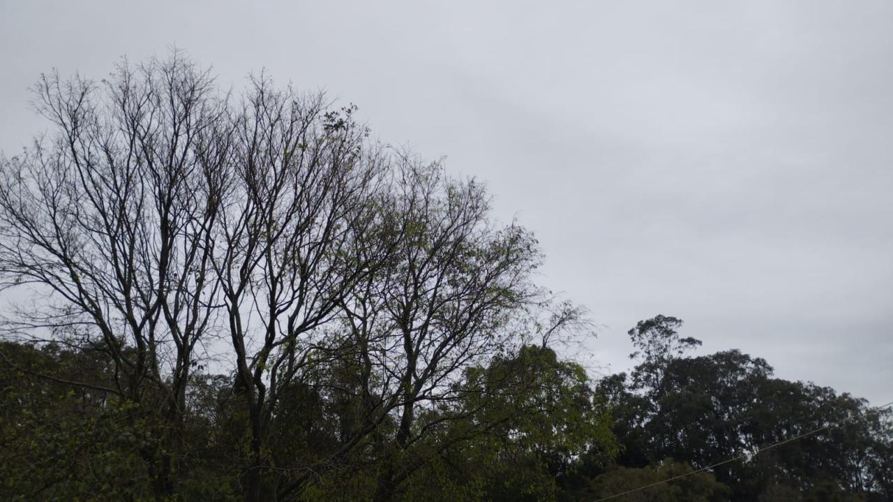 Fim de semana inicia com chuva em Santa Helena