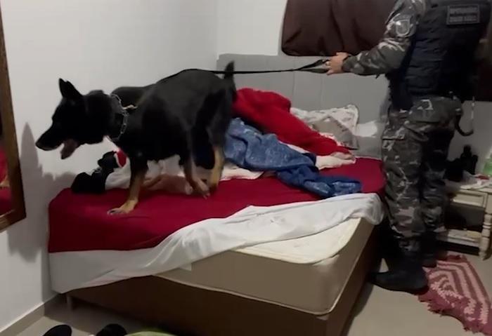 Operação mira grupo que movimentou R$ 2,5 milhões do tráfico no Paraná