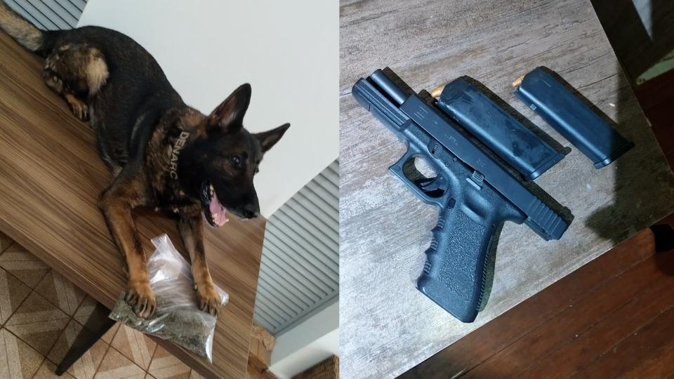 Quatro são presos em Operação Pinos deflagrada pela Denarc