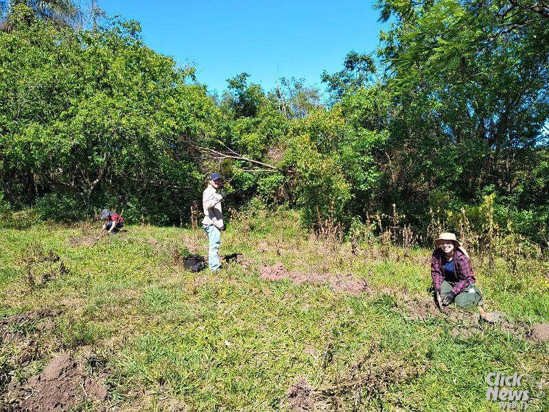 Em Santa Helena, Sítio Libélulas promove recuperação de área degradada e caminha para a proteção permanente da vegetação nativa da Mata Atlântica