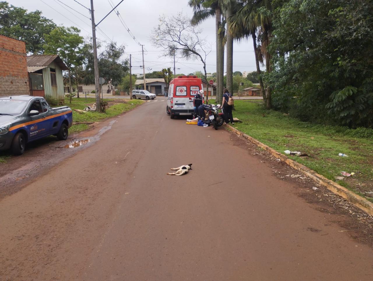 Motociclista cai após atropelar cachorro em Santa Helena