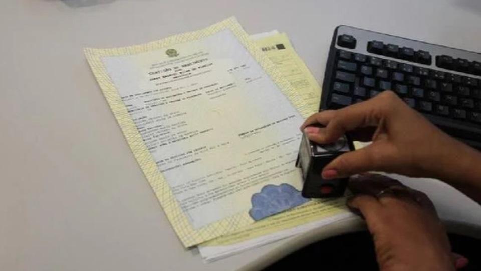 Saiba como consultar nomes e sobrenomes mais populares no site do IBGE