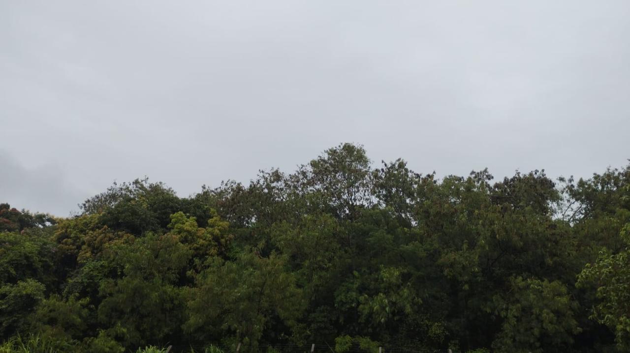 Sexta-feira chuvosa na Terra das Águas e com alerta de temporal para a região