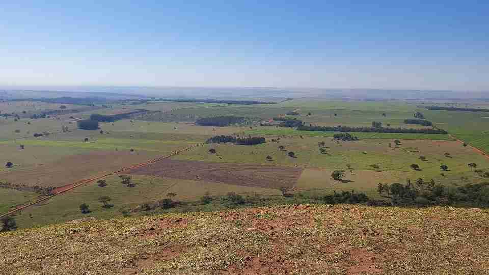 Acordo de mais de R$ 500 mi entre Governo e Araupel deve criar novos assentamentos no Oeste