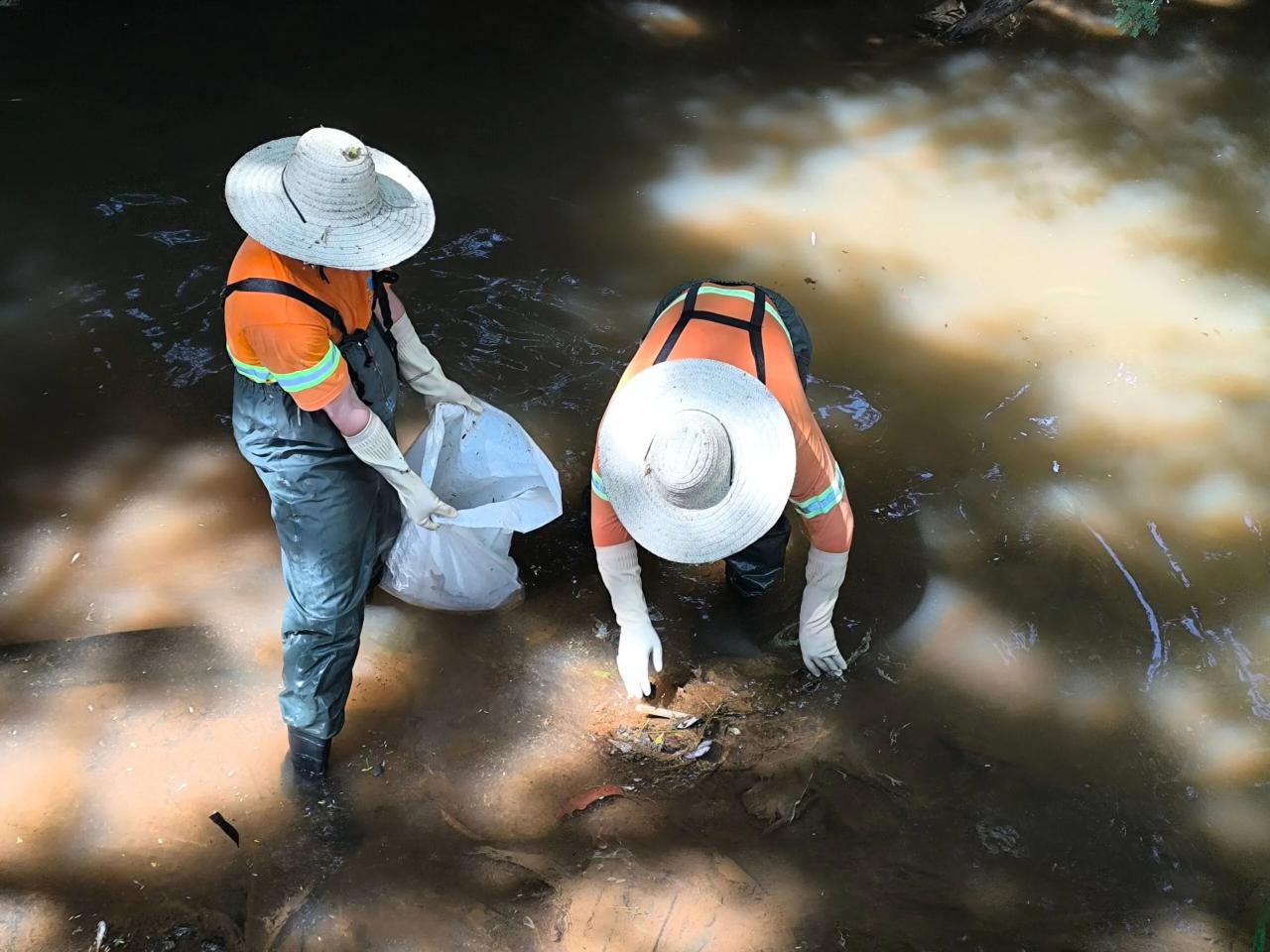 Morador flagra água branca e peixes mortos no Rio Pinto em São Miguel do Iguaçu