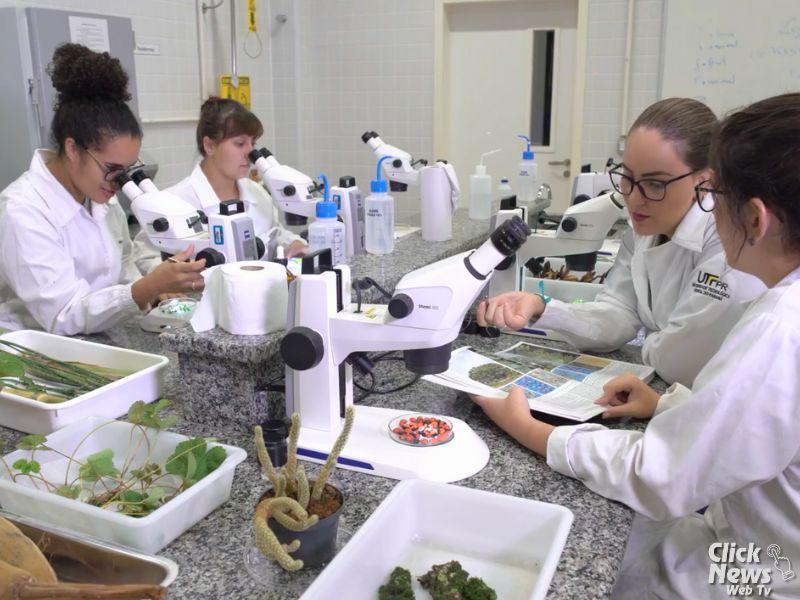 UTFPR anuncia Processo Seletivo para professor no Campus Santa Helena