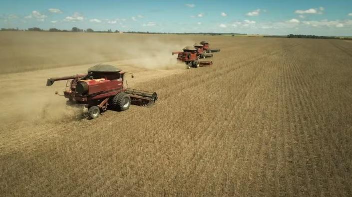 Colheita da soja em MT avança e chega a quase 80% da área plantada