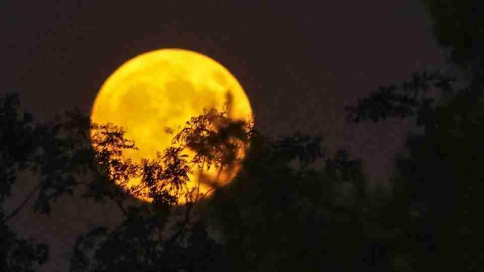 Sexta-feira 13! Superstição atravessa séculos e divide opiniões