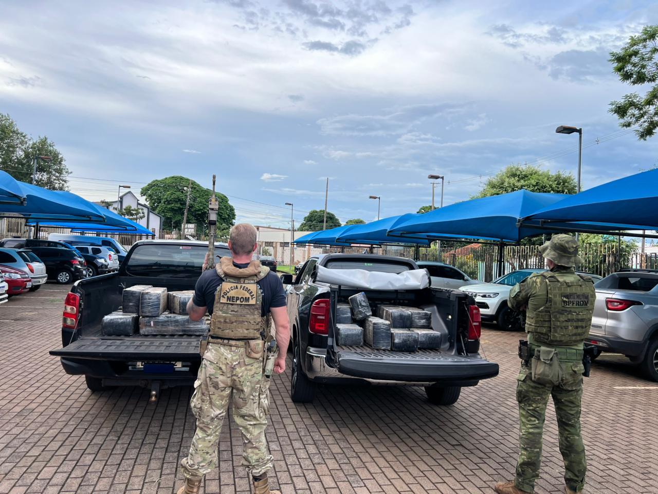 Ação integrada apreende meia tonelada de maconha na região