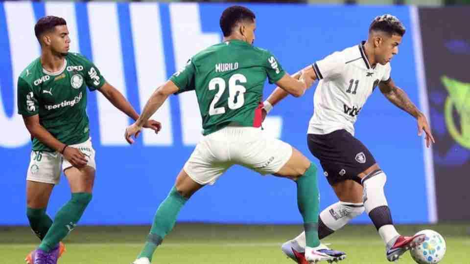 Palmeiras vence o Botafogo e esquenta a briga pela liderança