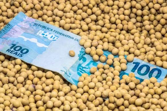 Preço da soja sobe no Brasil, mas recuo dos prêmios limita avanço maior