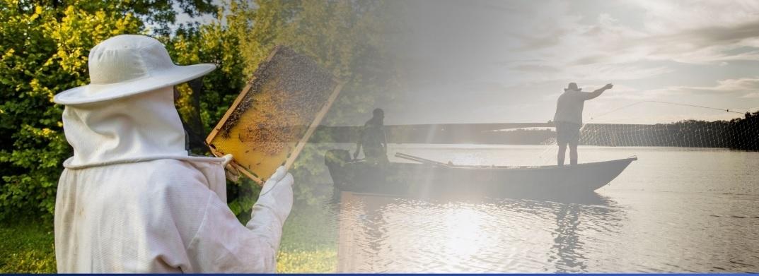 Santa Helena lança editais de incentivo para pescadores e apicultores profissionais