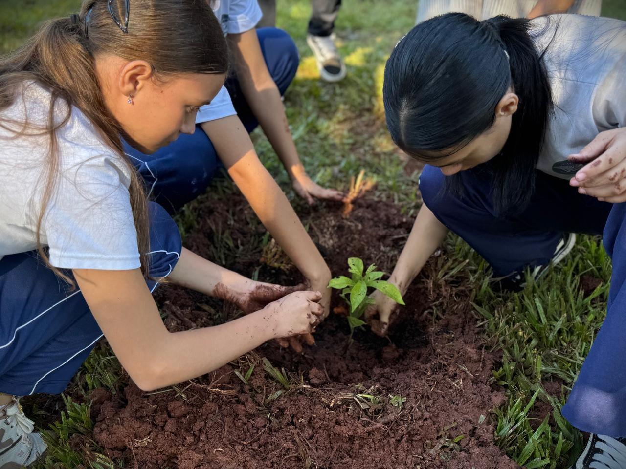 Santa Helena planta 15 mudas de árvores nativas no Balneário Terra das Águas