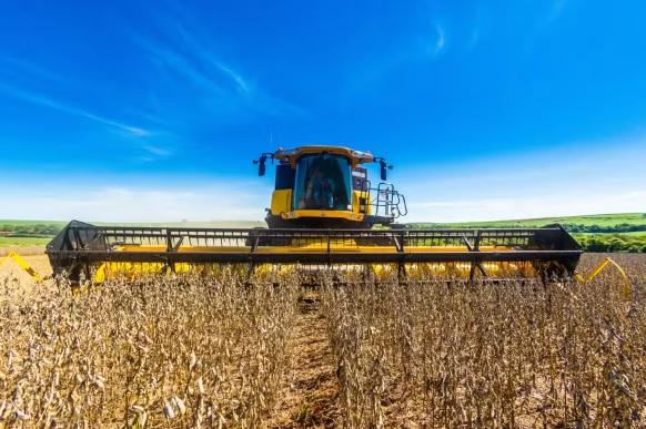 USDA reduz previsão para safra global de soja, mas mantém estimativas para EUA e Brasil