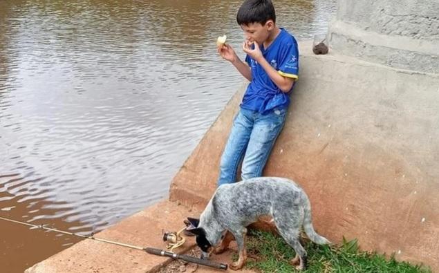 Família intensifica campanha, após cachorra vítima de atropelamento apresentar piora