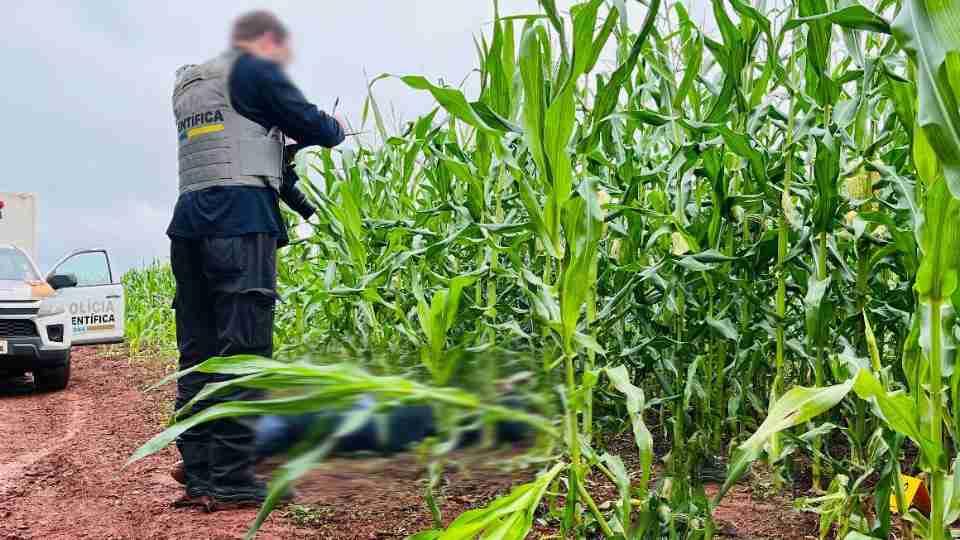Homem é executado a tiros em milharal de Santa Terezinha de Itaipu