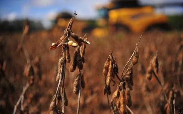 Ministério da Fazenda estuda incluir produtores rurais dentro do pacote de renegociação de dívidas