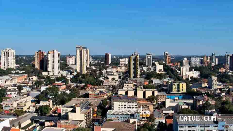 Foz do Iguaçu registra 207 casos de esporotricose em animais e 25 em humanos em 2026