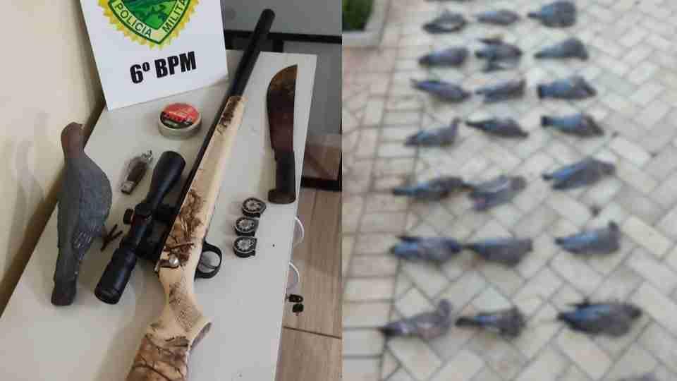 Polícia Militar flagra caça ilegal e apreende 30 pombas abatidas em Guaraniaçu